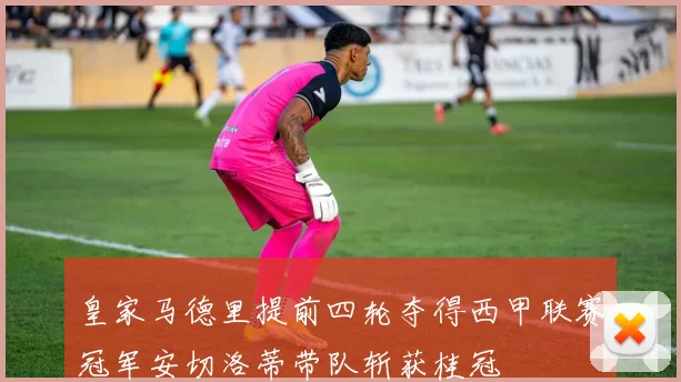 皇家马德里提前四轮夺得西甲联赛冠军安切洛蒂带队斩获桂冠
