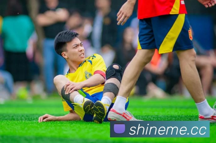 App Interface Preview