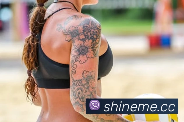 星空体育官方版官网APP 封面图